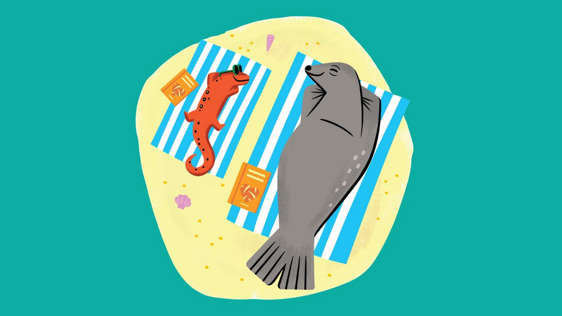 Plage festive avec les toutous