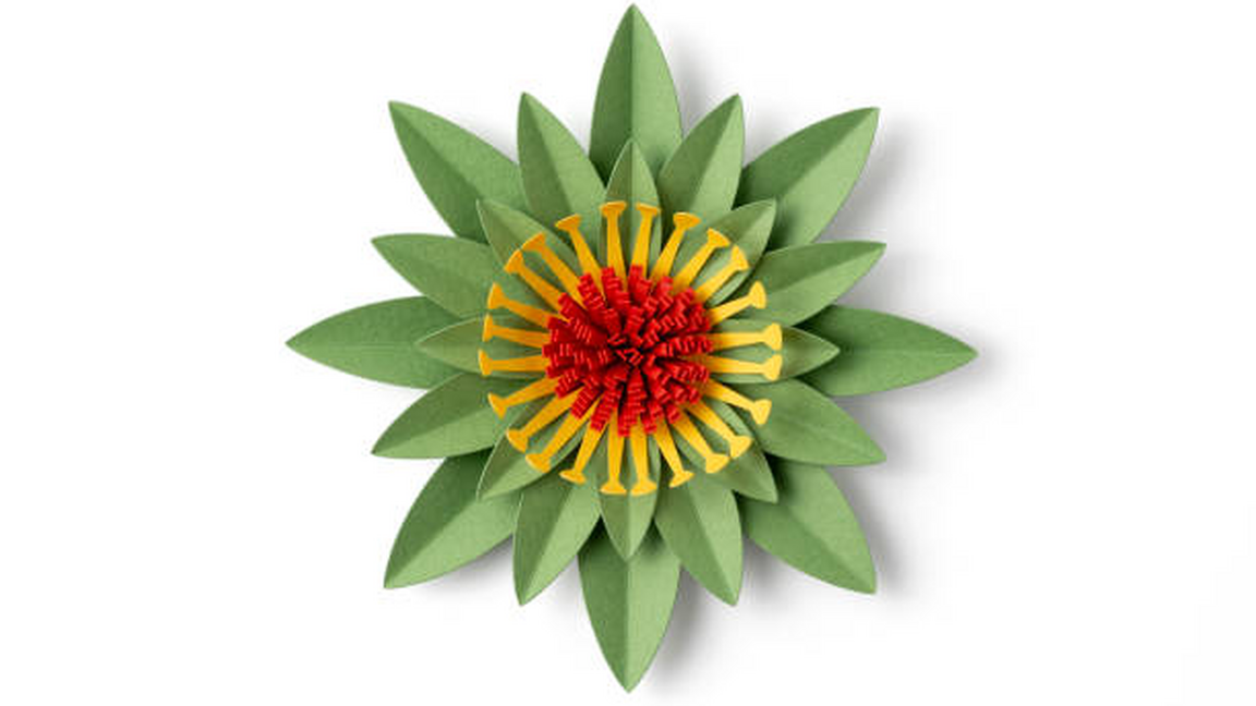 Atelier " Fabrication des fleurs en papiers" (9-12 ans ), jeudi 13 août , 16h-17h30