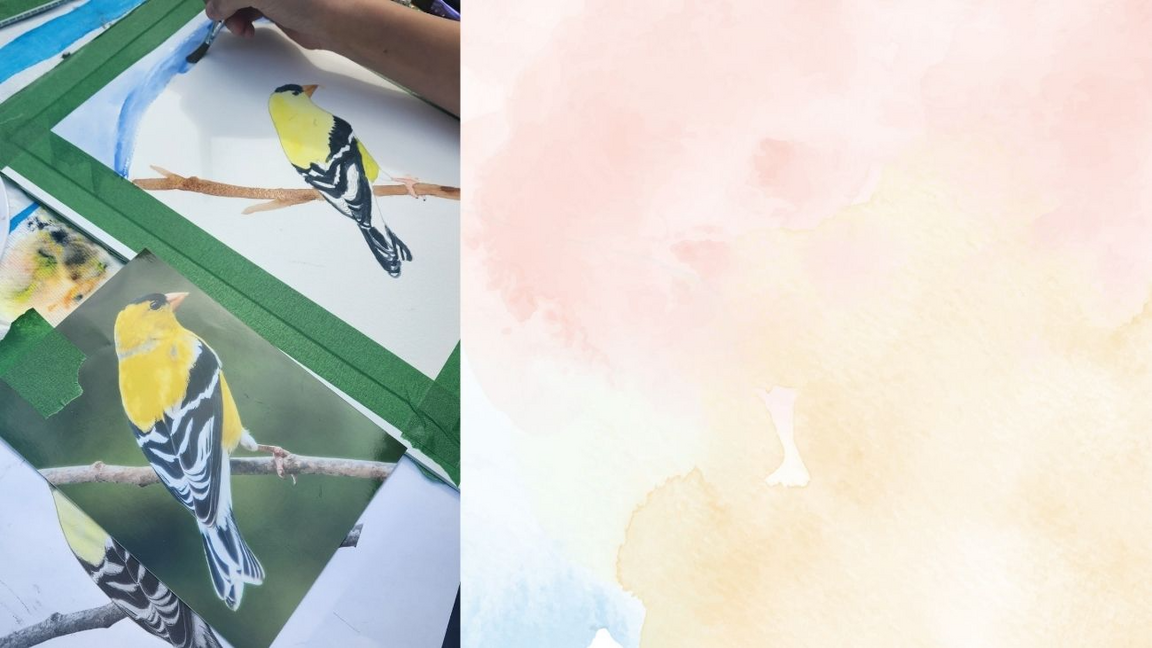 Aquarelle et oiseaux du Québec