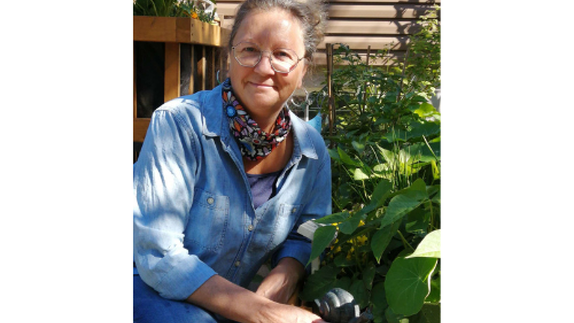 Jardin d'automne et bulbes