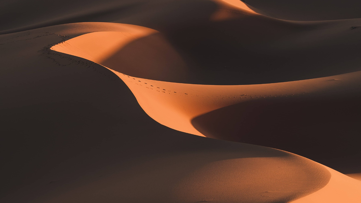 Cabarets scientifiques - Le film Dune, de Denis Villeneuve : entre science et fiction