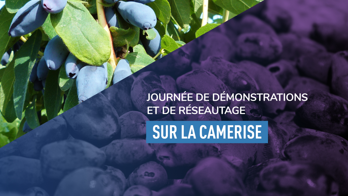 Journée de démonstrations et de réseautage sur la camerise