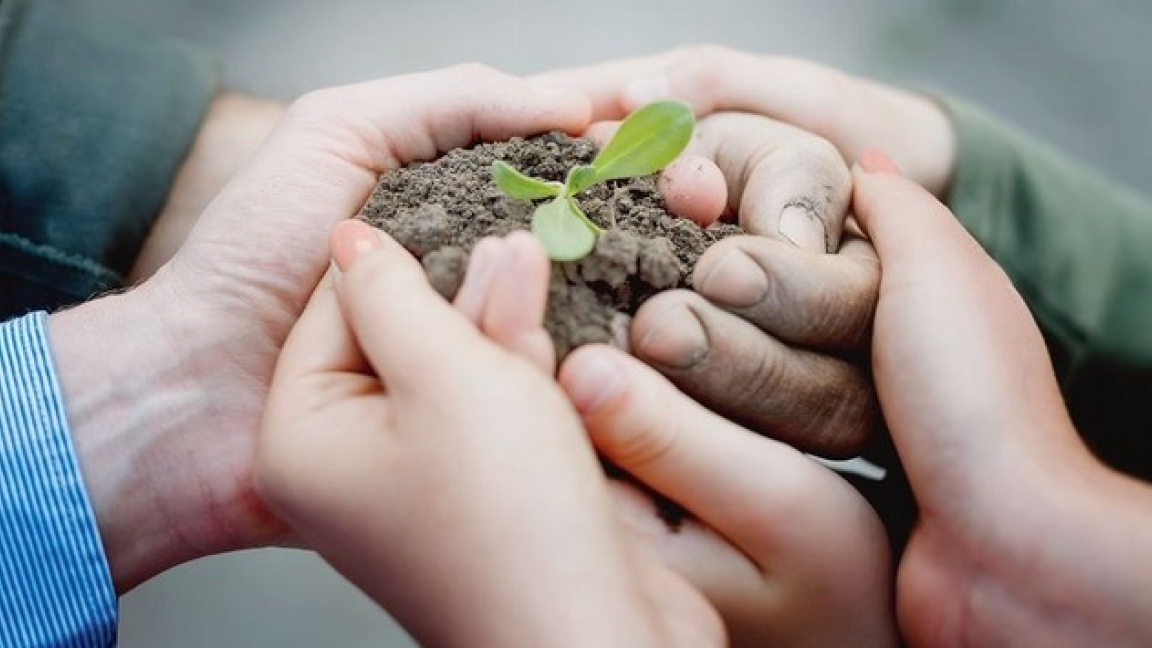 Empotage de plantes (Atelier pour enfant)!