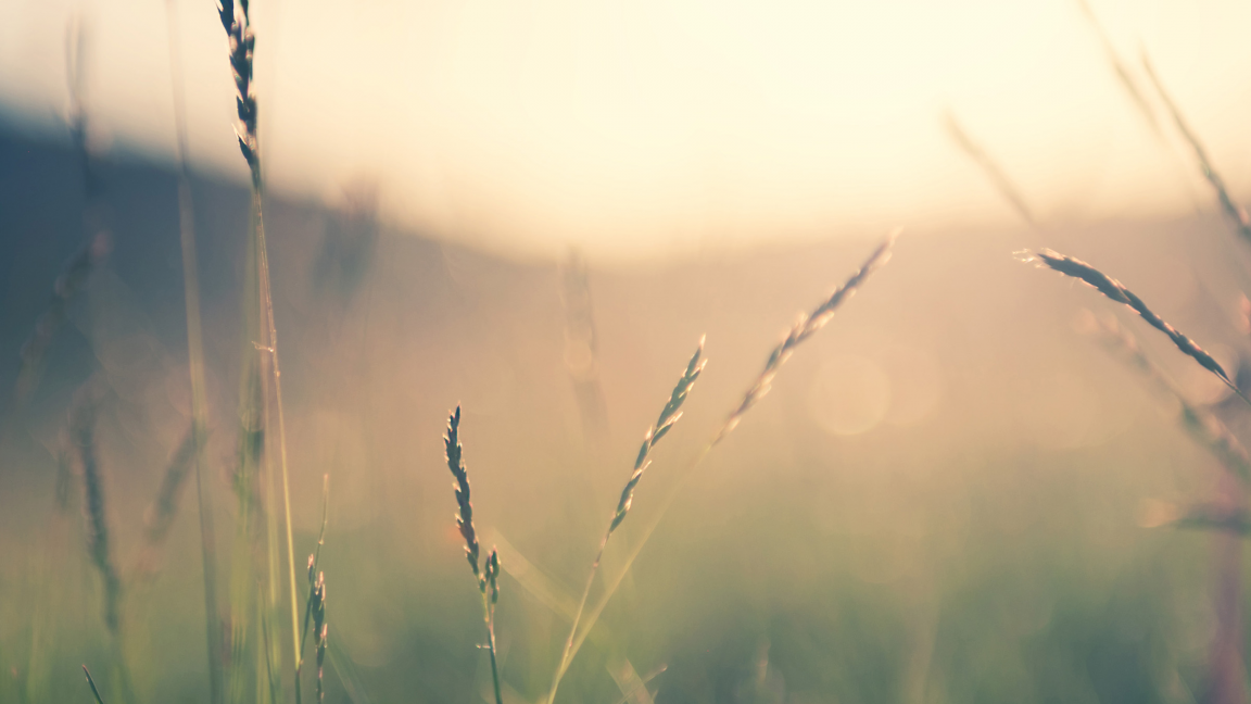 ITINÉRAIRE - Baroque champêtre