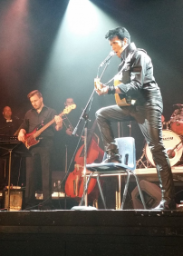 One Night with Elvis