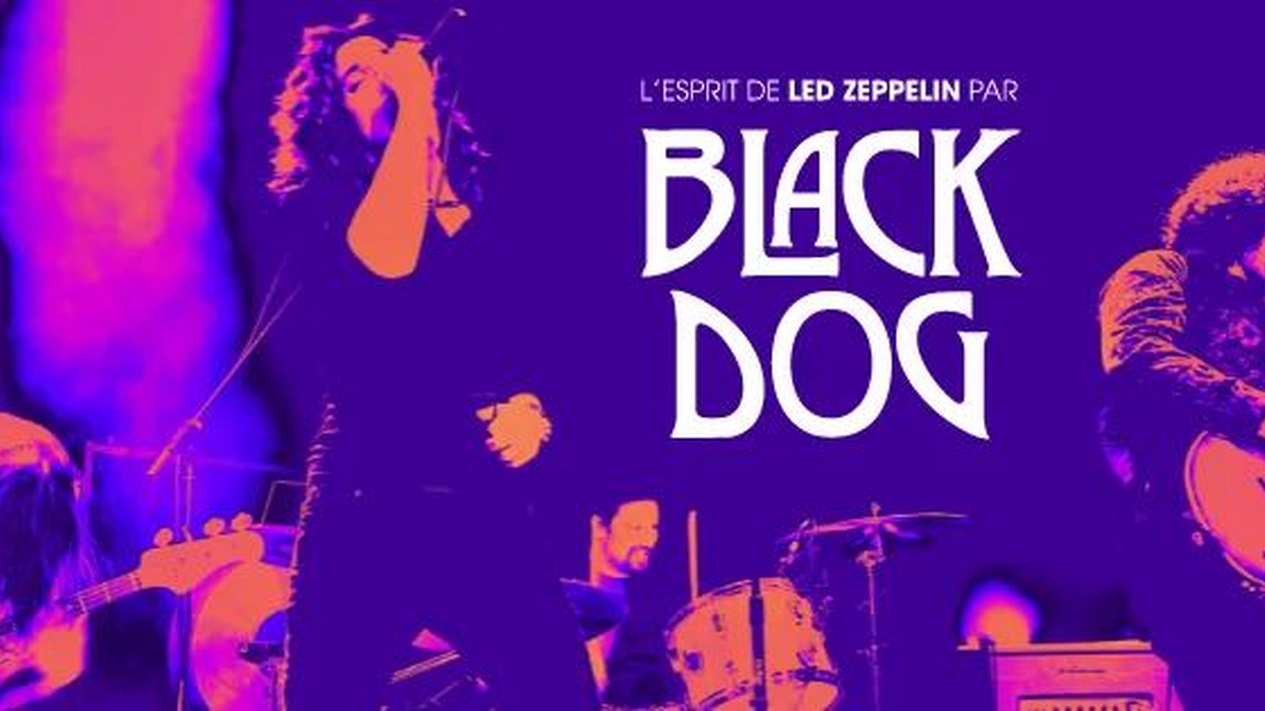 Black Dog - L'esprit de Led Zeppelin