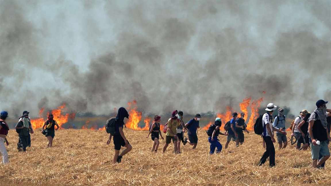 Le vivant qui se défend