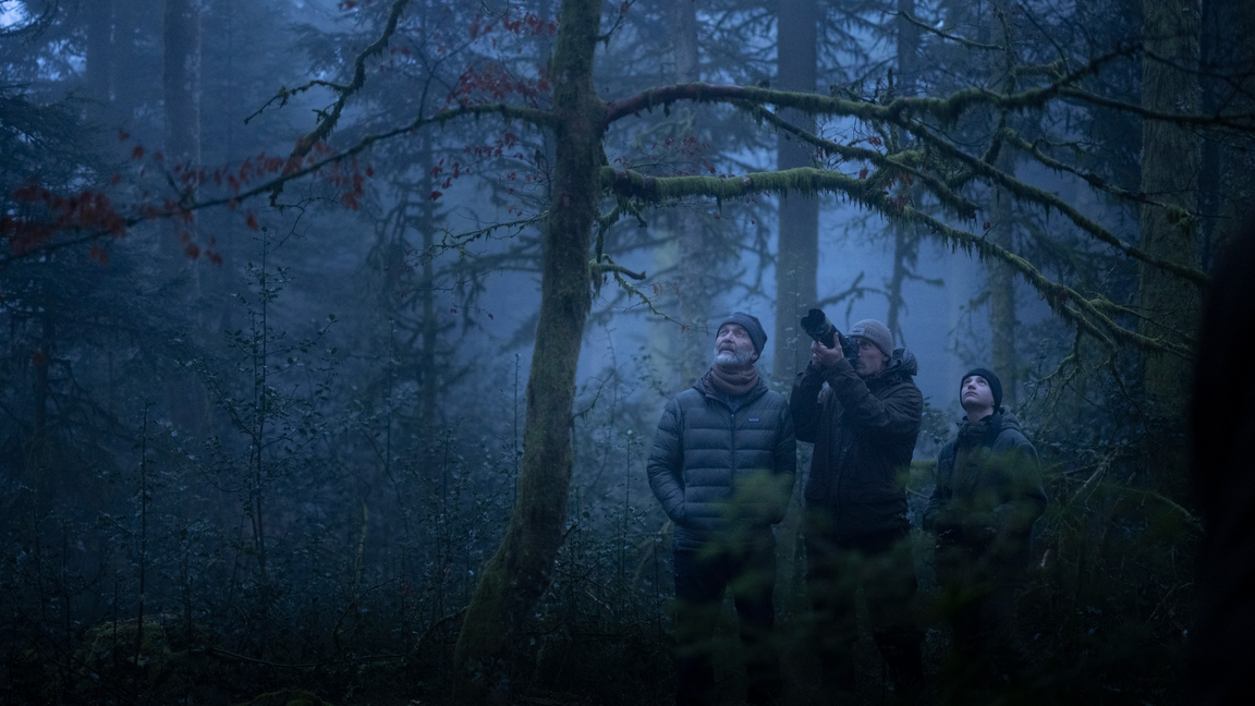 LE CHANT DES FORÊT