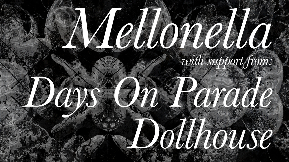 Mellonella album release party