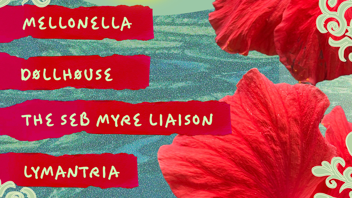 Mellonella x Døllhøuse x The Seb Myre Liaison x Lymantria