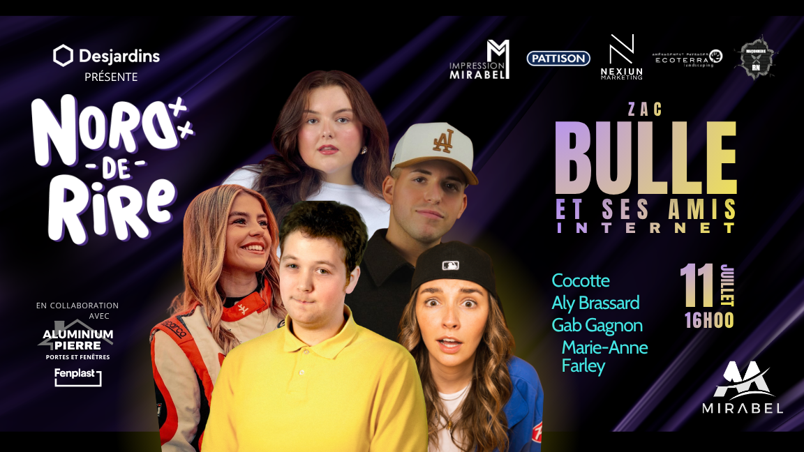 Zac Bulle et ses amis internet