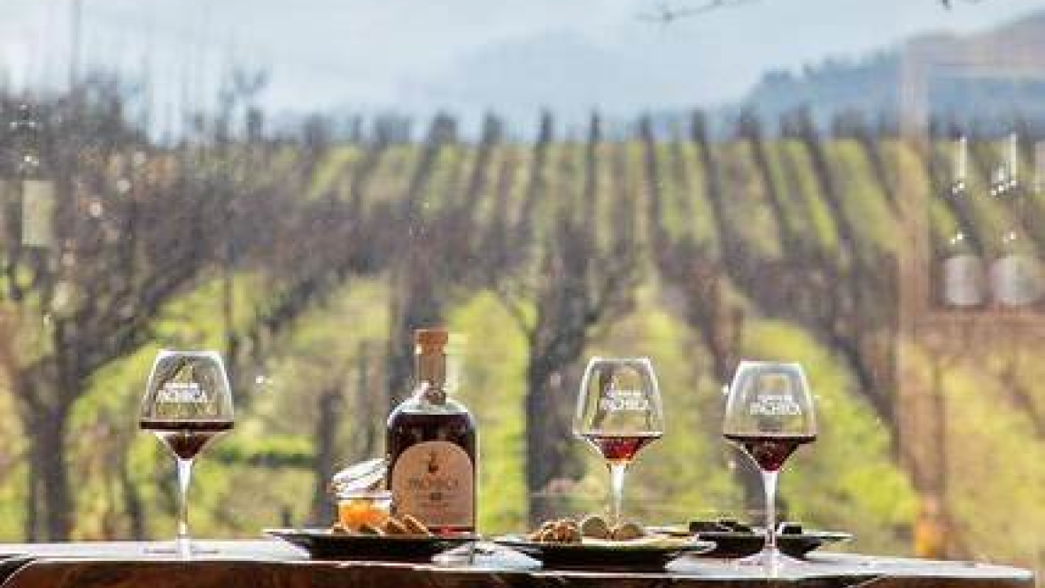 Vignoble Pacheca au EAST!