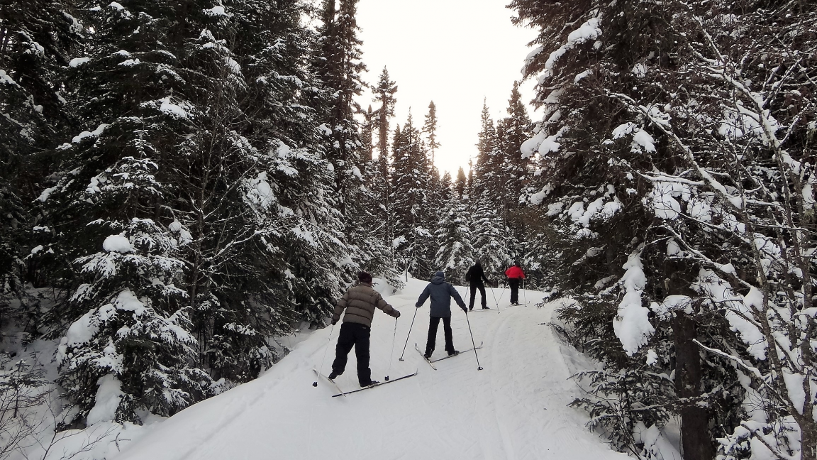 Ski de fond et raquette à la Forêt Montmorency - 17 mars