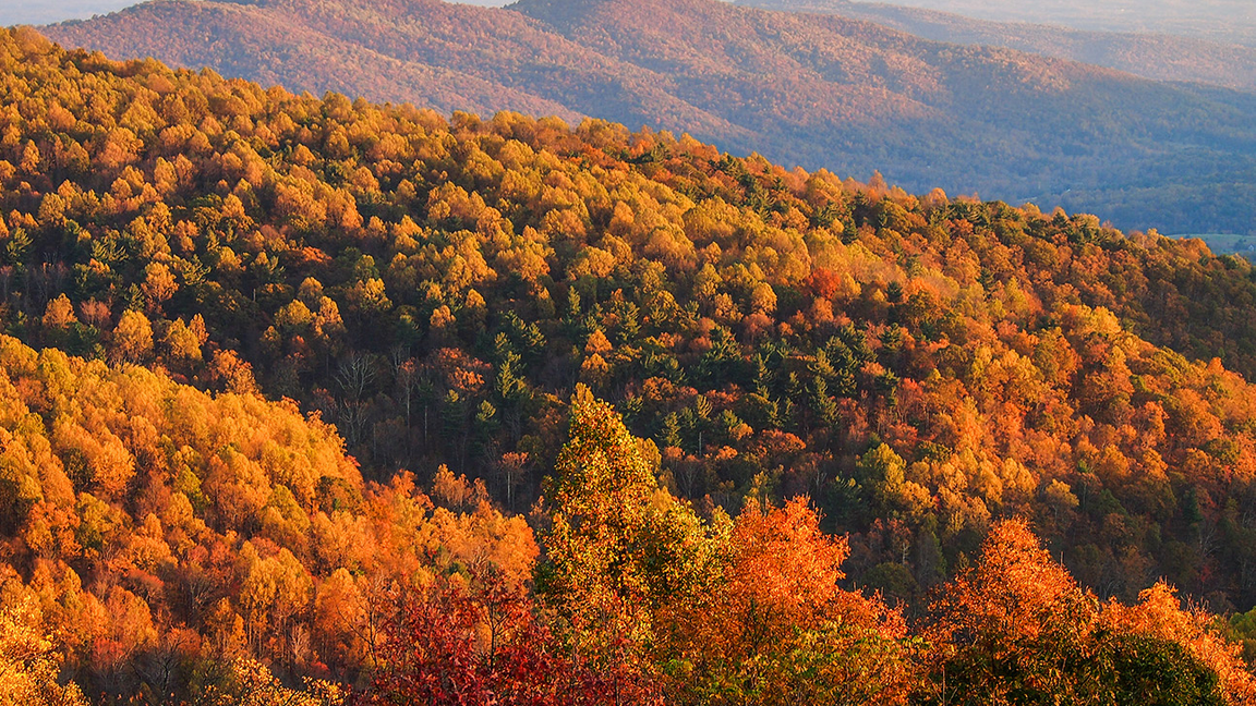 Grande Virée des couleurs au Mont-Sainte-Anne