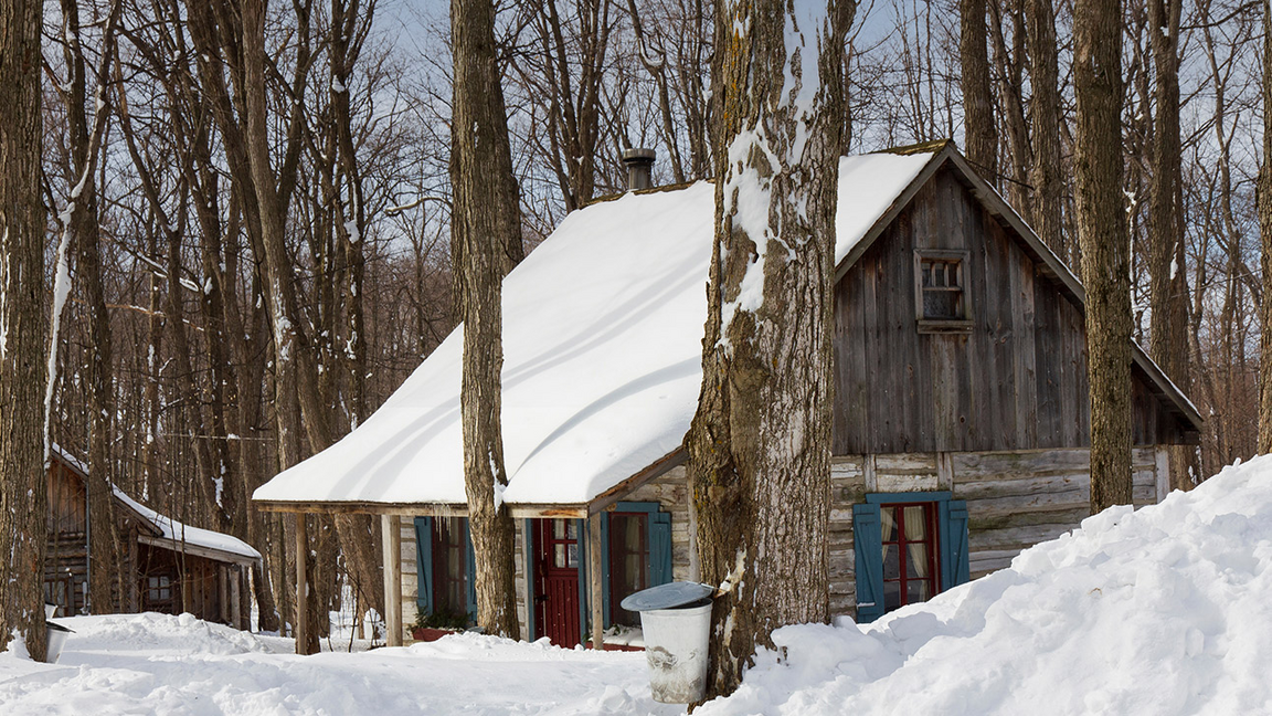 Cabane à sucre