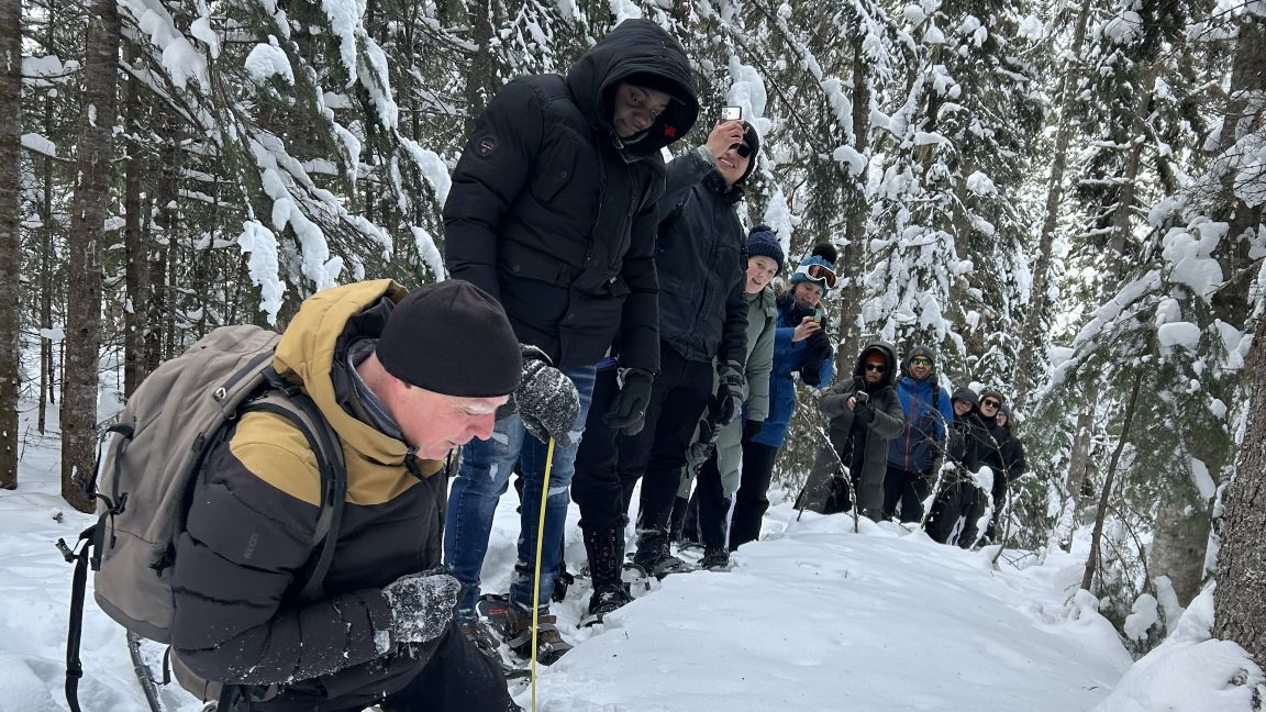 Randonnée guidée en raquette à la Forêt Montmorency
