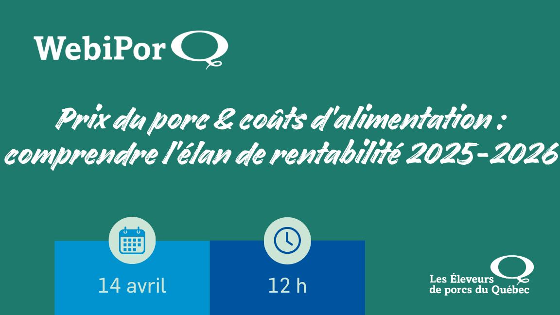 Prix du porc & coûts d'alimentation : comprendre l'élan de rentabilité 2025-2026