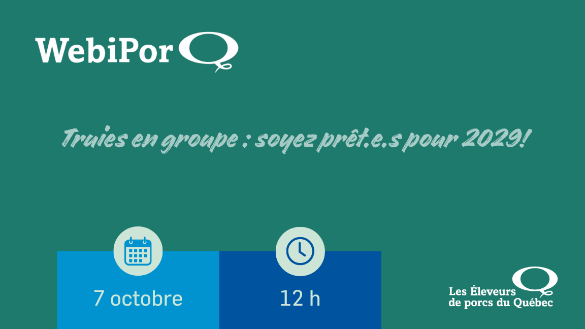 WebiPorQ - Truies en groupe : soyez prêt.e.s pour 2029!