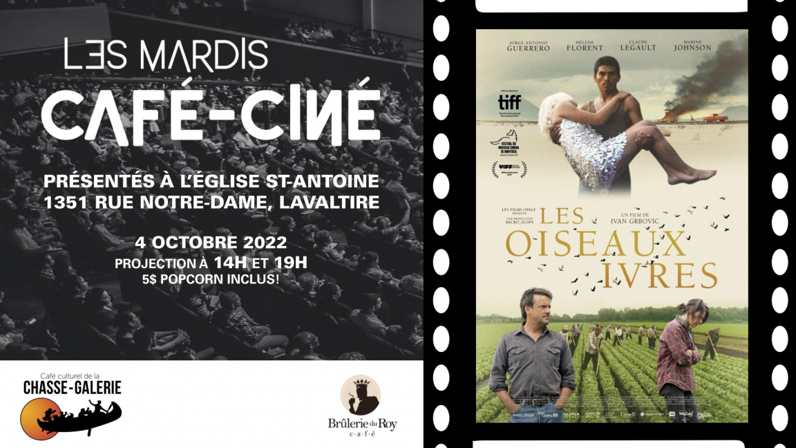 Café-ciné : Les oiseaux ivres