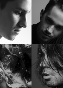 Suburban House Thieves