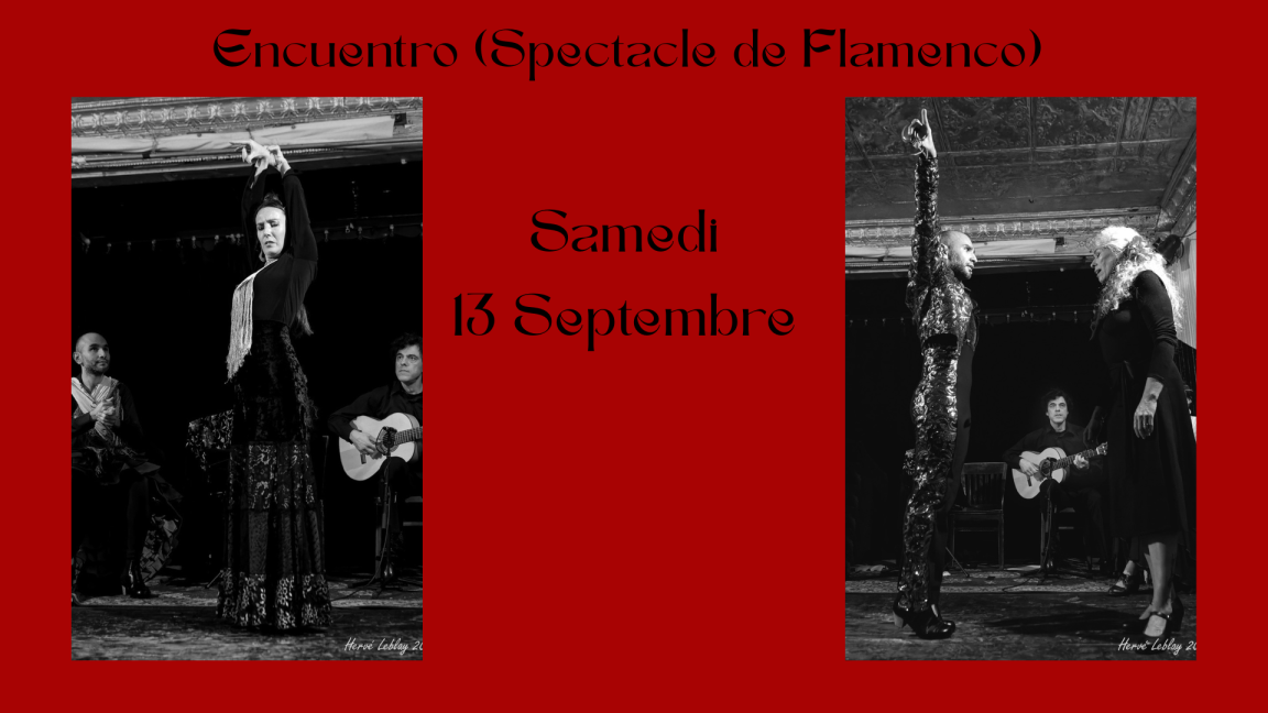 Encuentro (Spectacle de Flamenco)