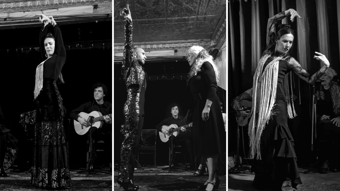 Encuentro (Spectacle de Flamenco)