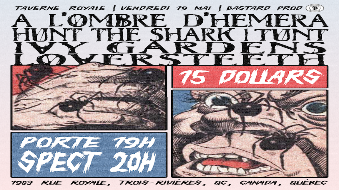 À l'OMBRE D'HÉMÉRA+ Hunt the shark, TUNT & invités