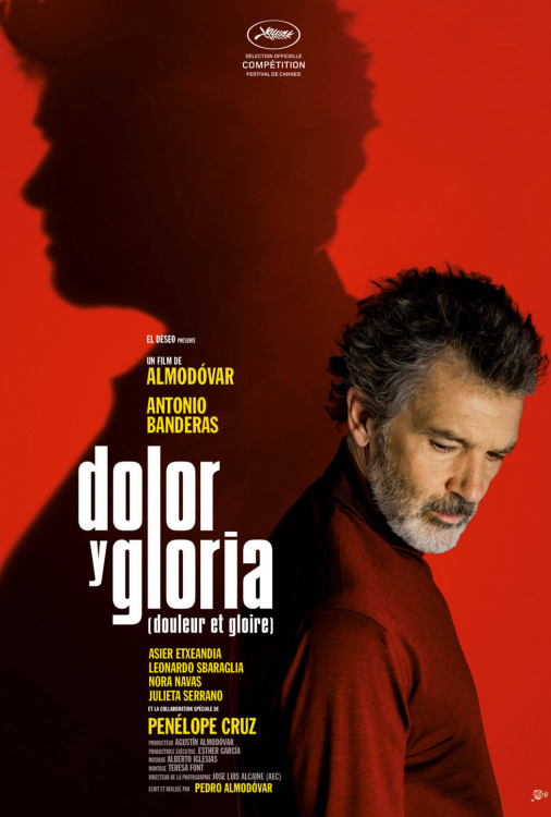 Douleur et gloire V.O.S.-T.F.