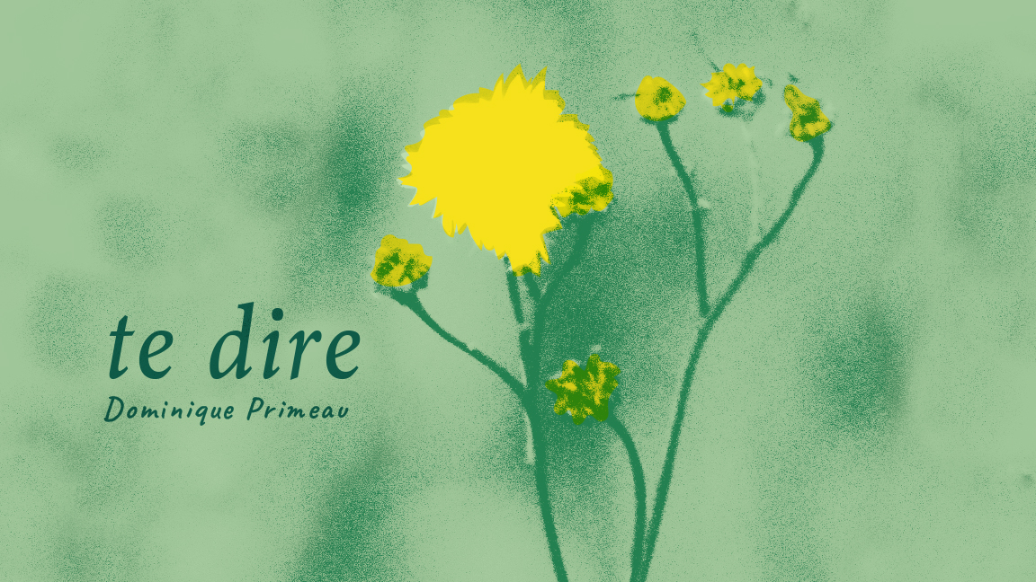 Te dire – lancement de disque de Dominique Primeau