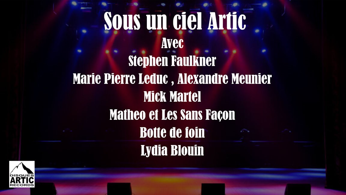 Sous un ciel Artic