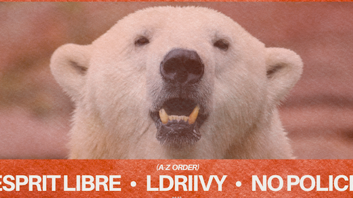 Down2Techno: Esprit Libre, Ldriivy, No Police