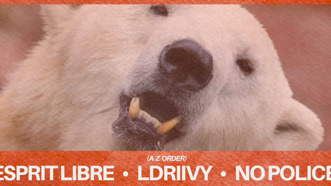 Down2Techno: Esprit Libre, Ldriivy, No Police