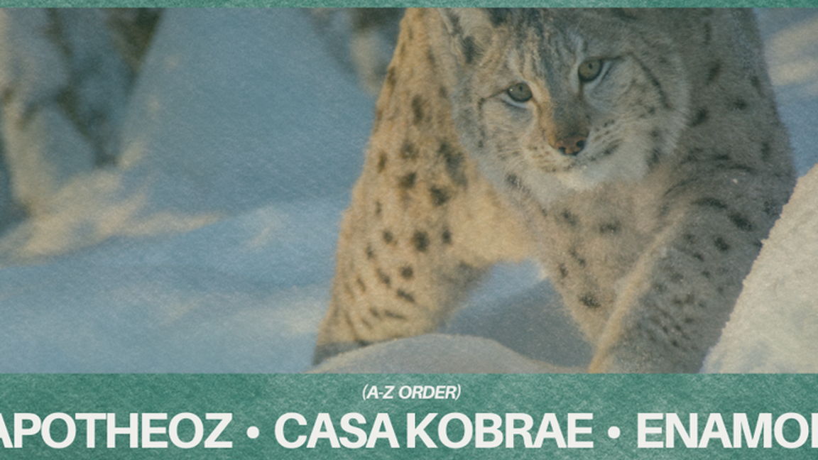 Down2Techno: Apotheoz, Casa Kobrae, Enamor