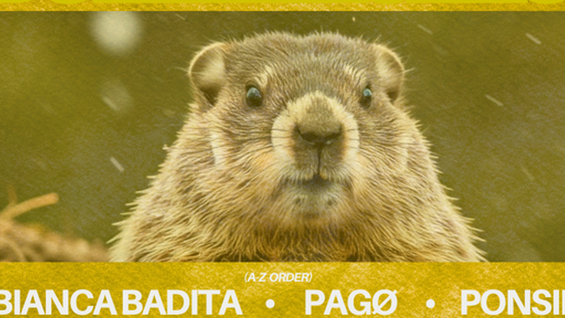 Down2Techno: Bianca Badita, Pagø, Ponsif