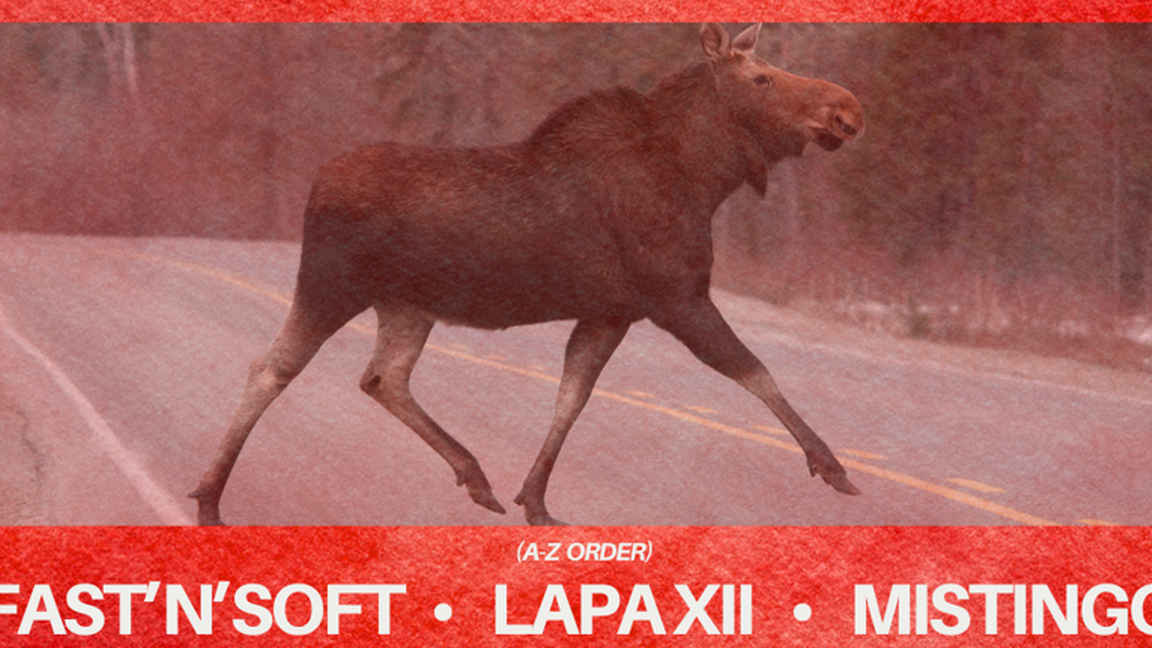 Down2Techno: Fast'N'Soft, Mistingo, Lapa XII