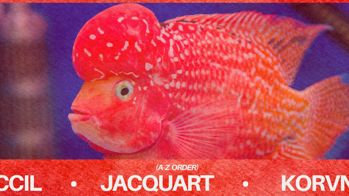 Down2Techno: CCIL, Jacquart, KORVN