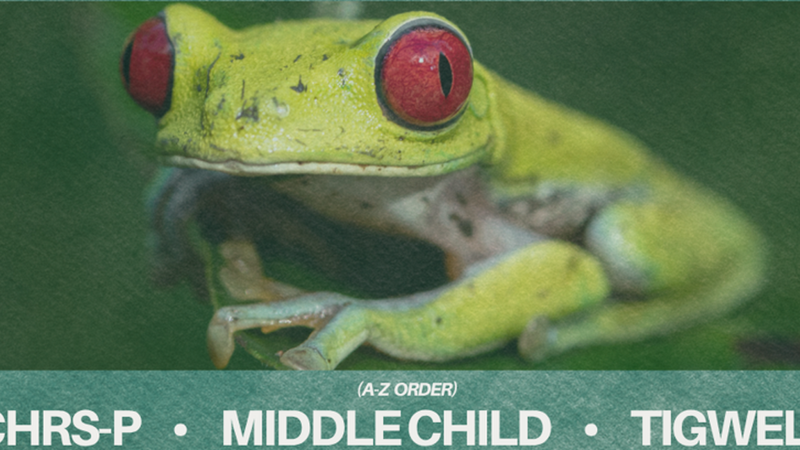 Down2Techno: CHRS-P, Middle Child, Tigwell