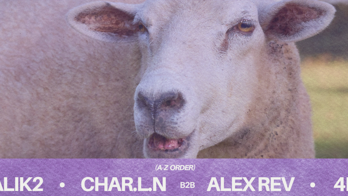 Down2Techno: Alik2, Char.l.n b2b ALEX REV, 4K