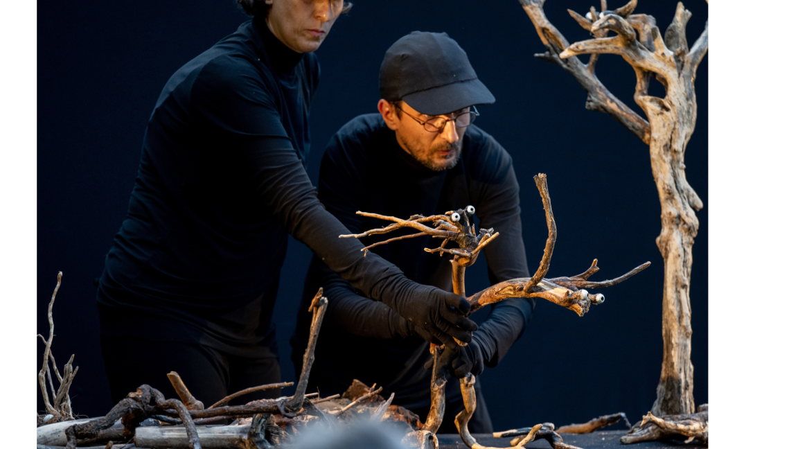 Bois - Théâtre jeunesse