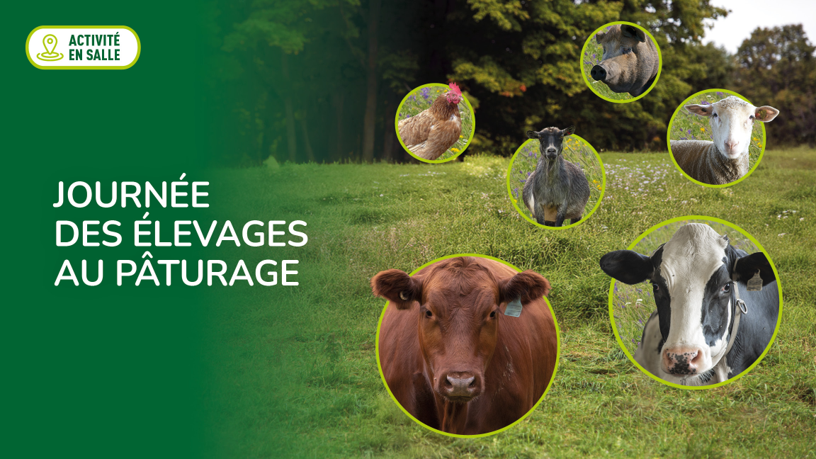 Journée des élevages au pâturage 2025