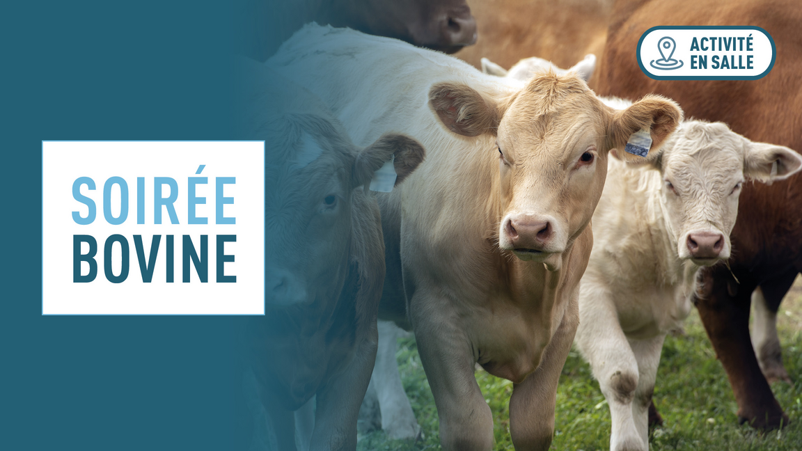 Soirée bovine de l'Estrie 2026