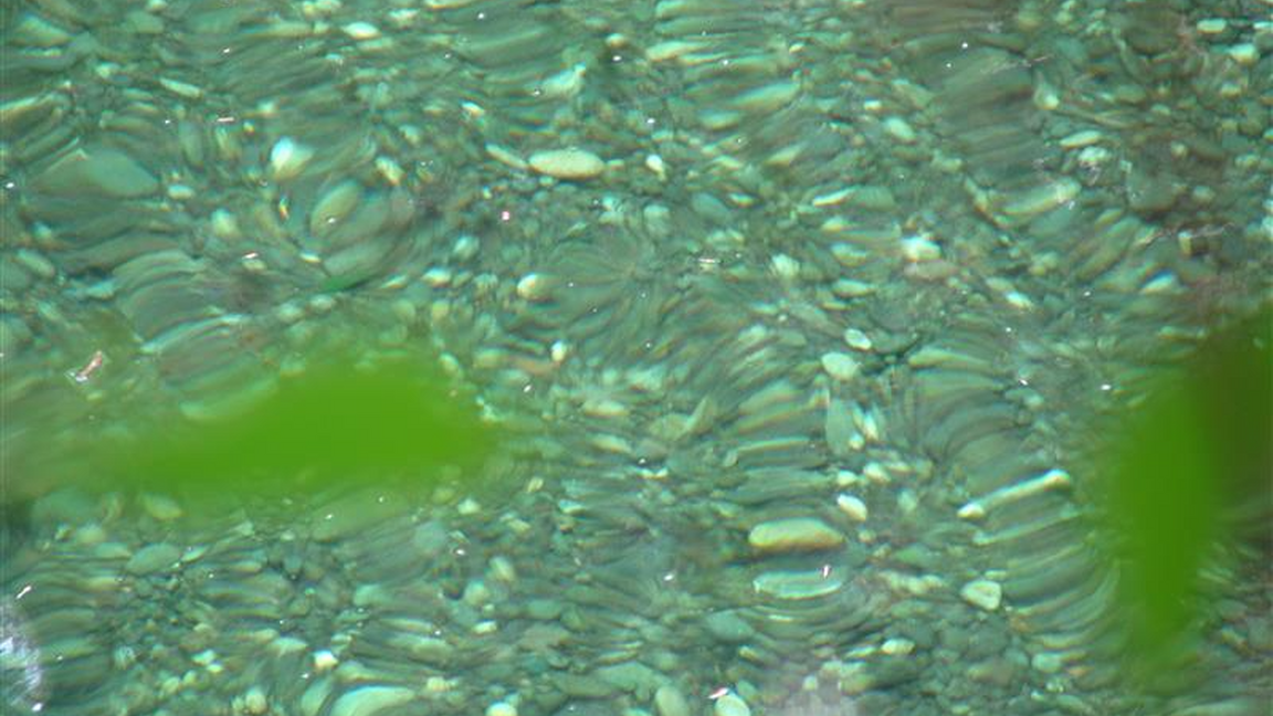 La rivière est son flux (the river is its flow)