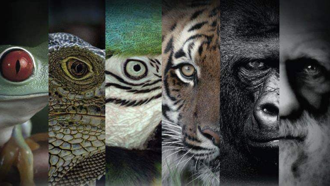 Salon des animaux de St-Hyacinthe 2025