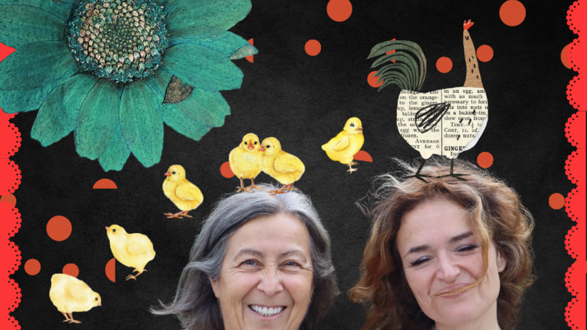 Spectacle : Une maison dans les nuages - contes et comptines pour bercer le temps (4 à 8 ans)