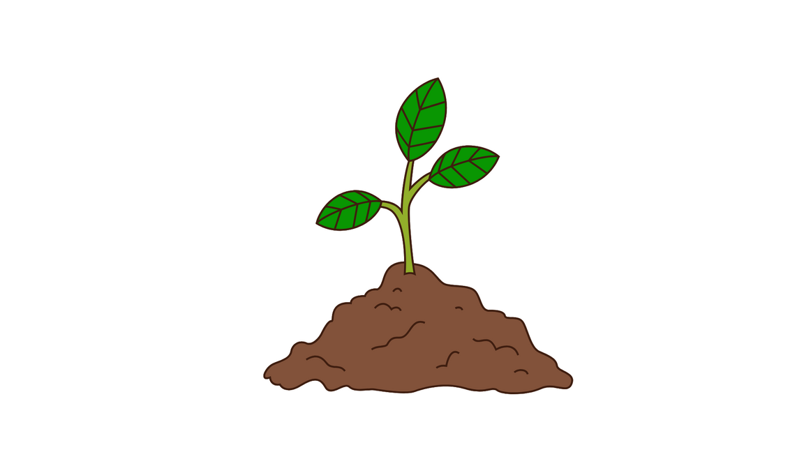 Atelier de tri de semences