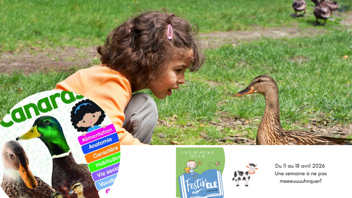 Festiv'ÉLÉ Lachine : événement d'ouverture (0 à 5 ans)