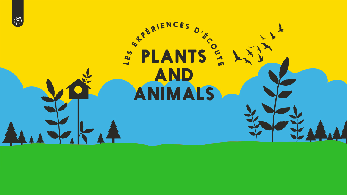 Expérience d'écoute - Plants and Animals - Chansons inédites