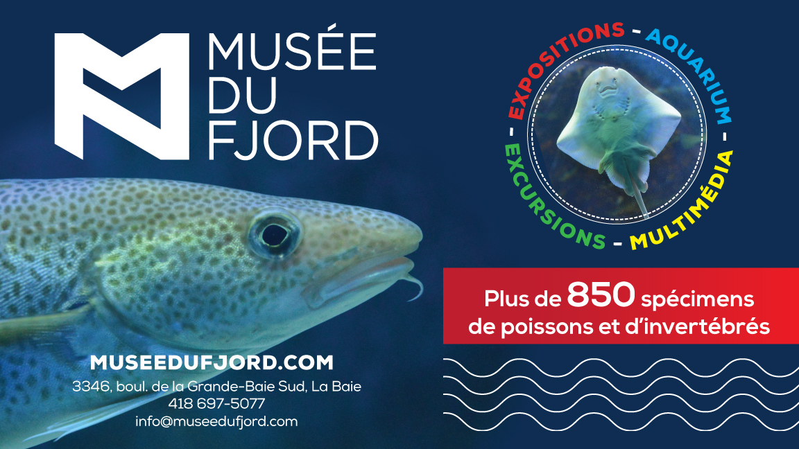Musée du Fjord