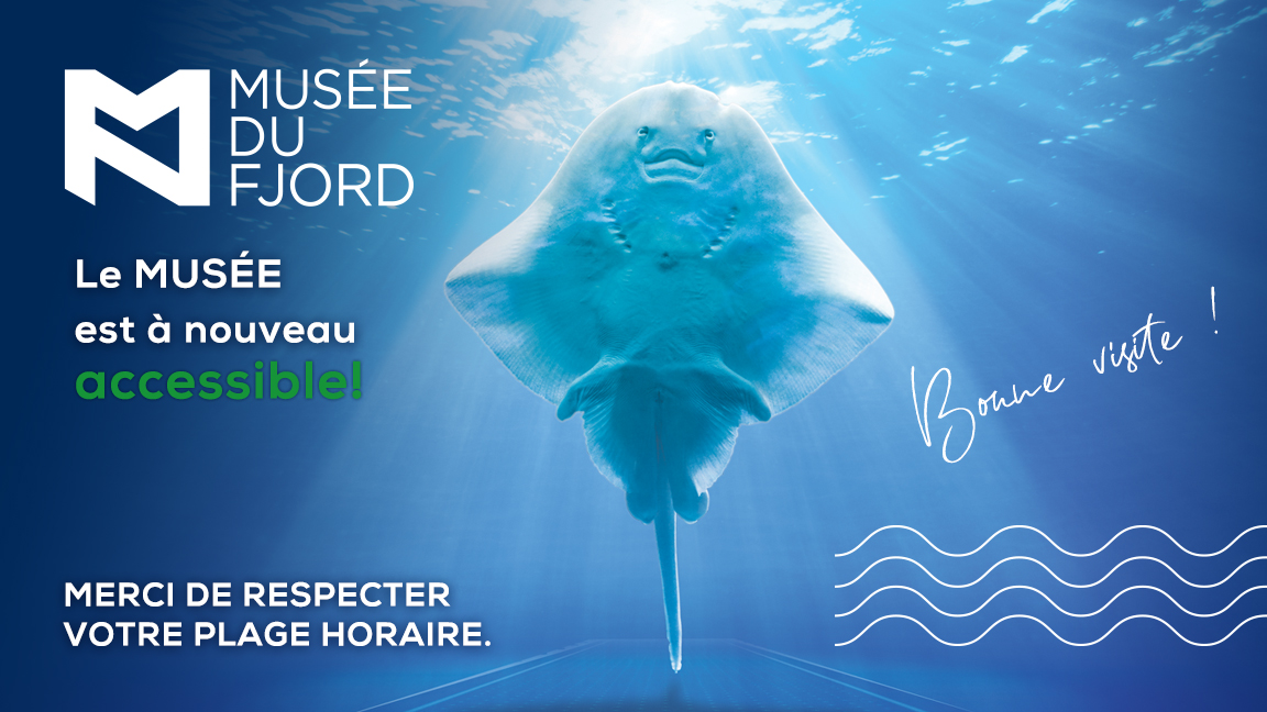 Admission - 13h à 15h