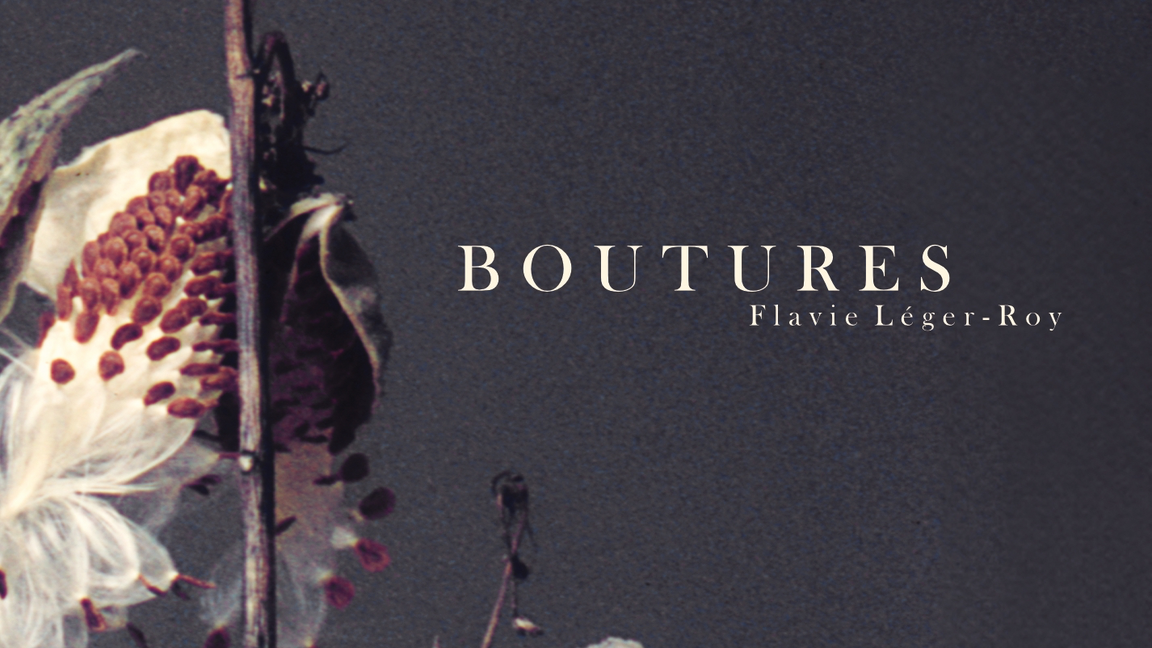 Boutures à l'Usine Rolland